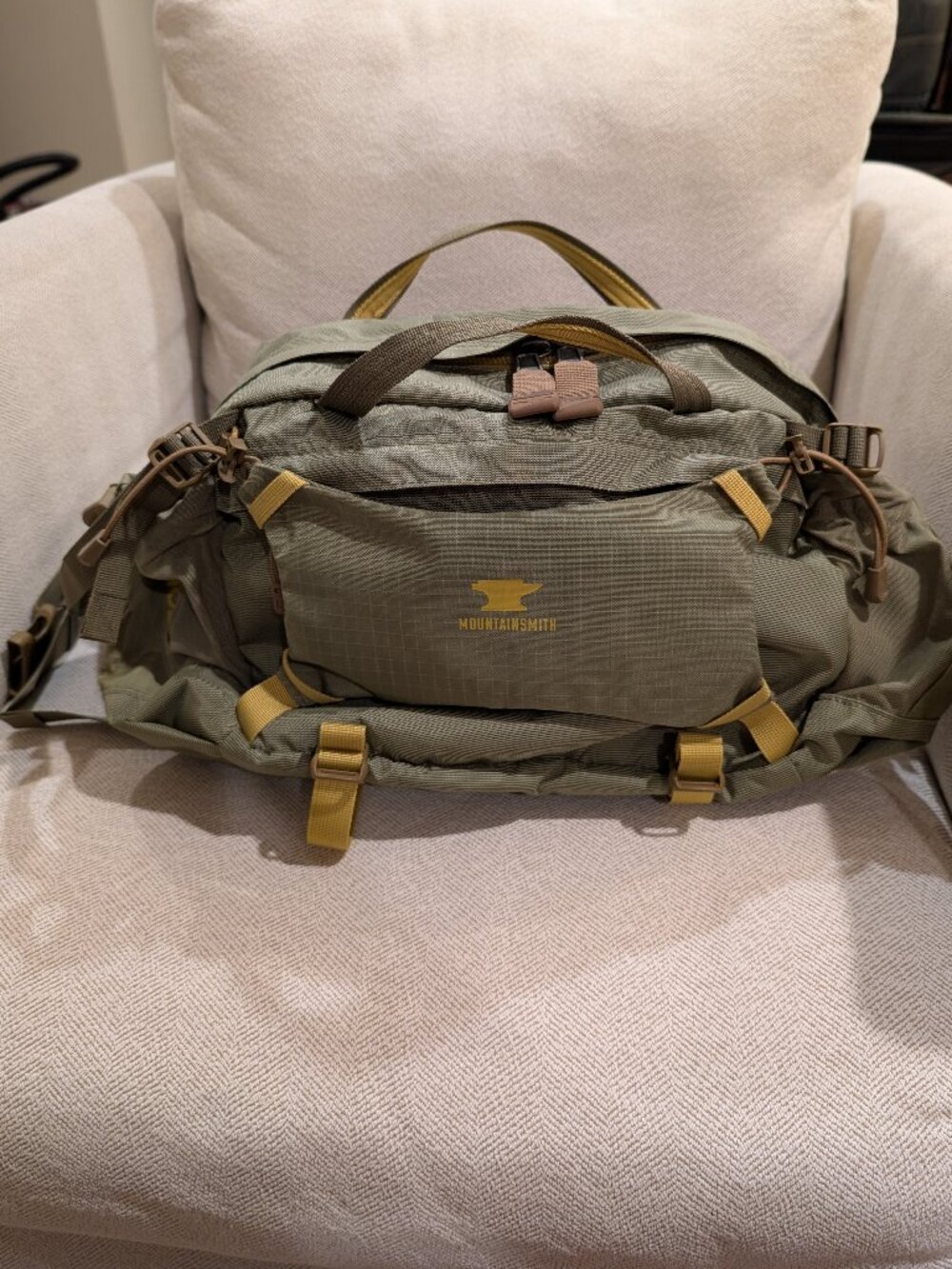 Mountainsmith Tour Lumbar Pack, NWOT, Olive